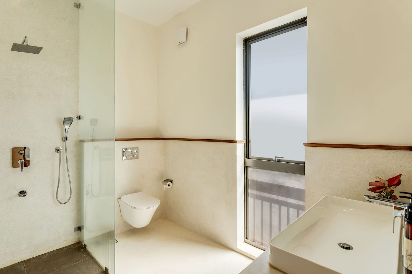 Alocassia 1, photo 23