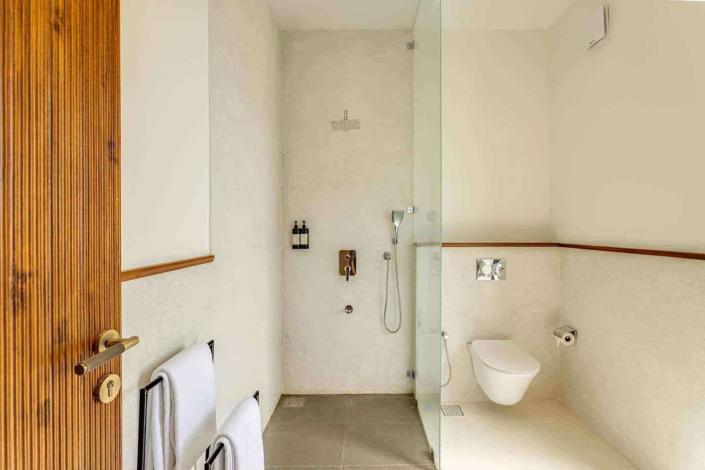 Alocassia 1, photo 25
