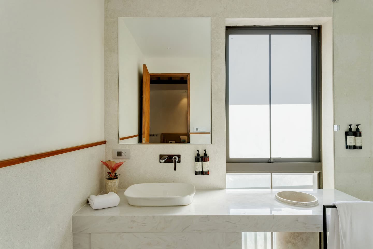Alocassia 2, photo 18