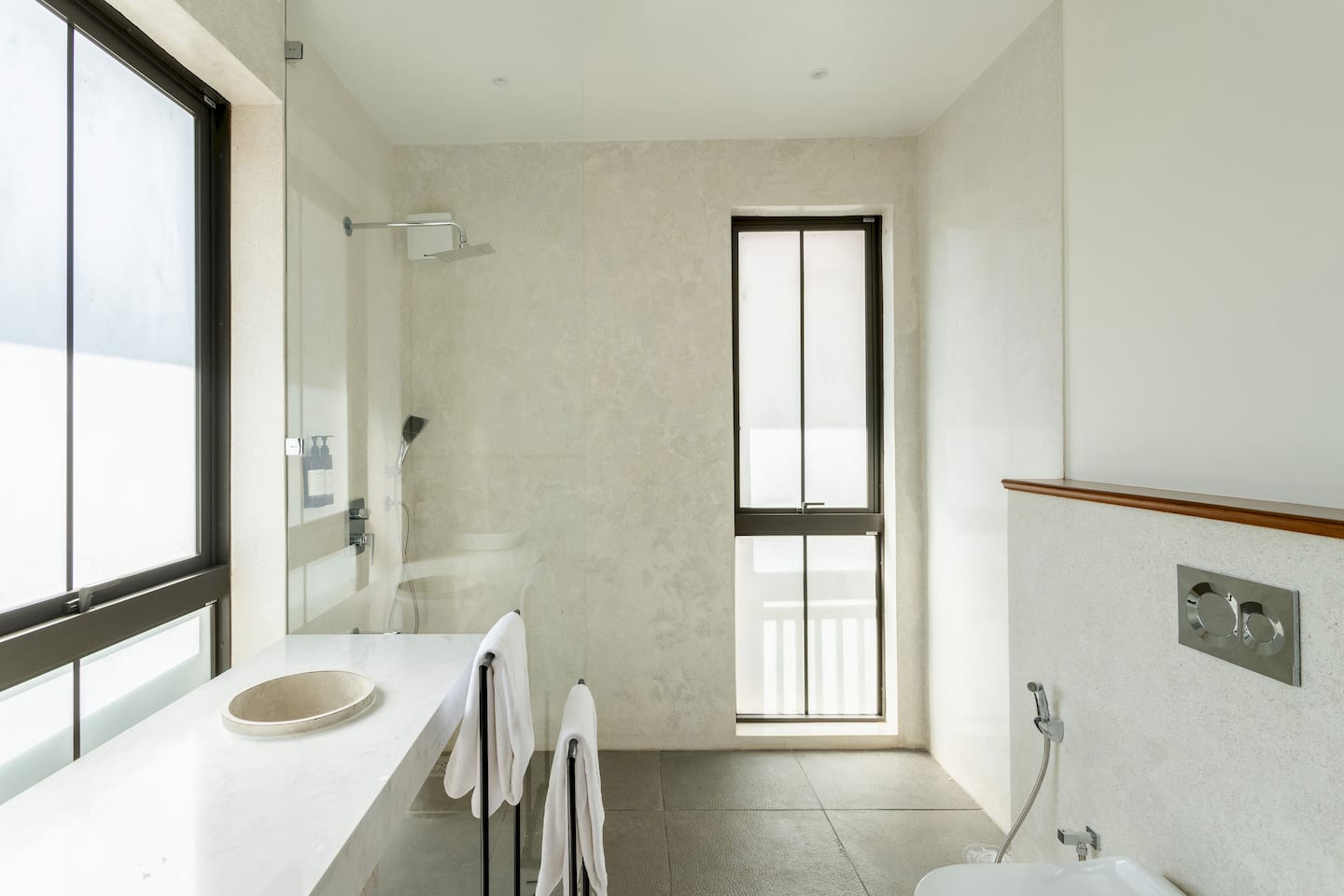 Alocassia 2, photo 19