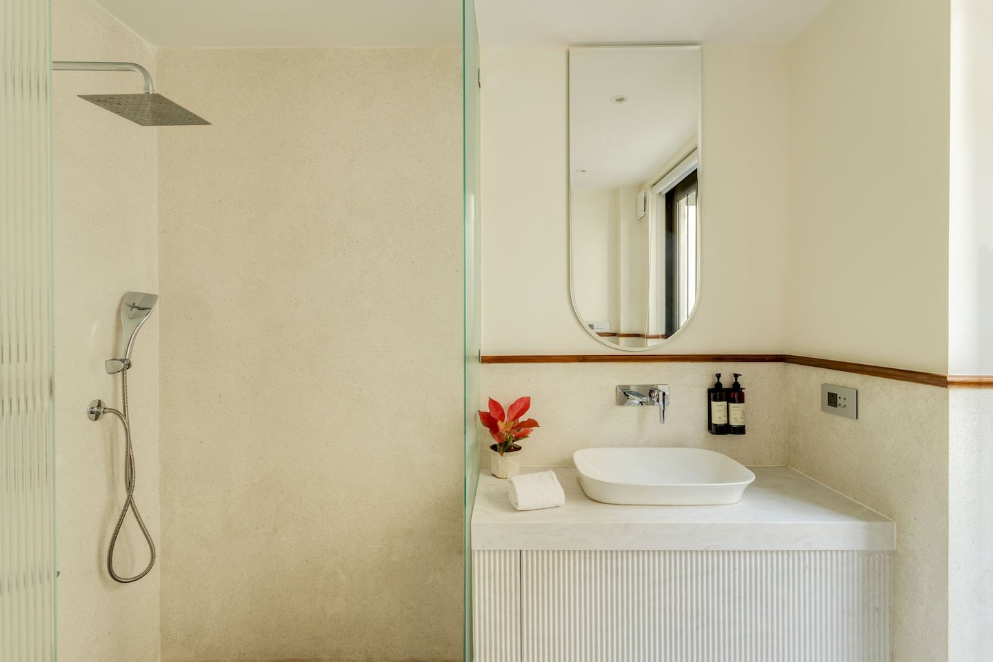 Alocassia 2, photo 23