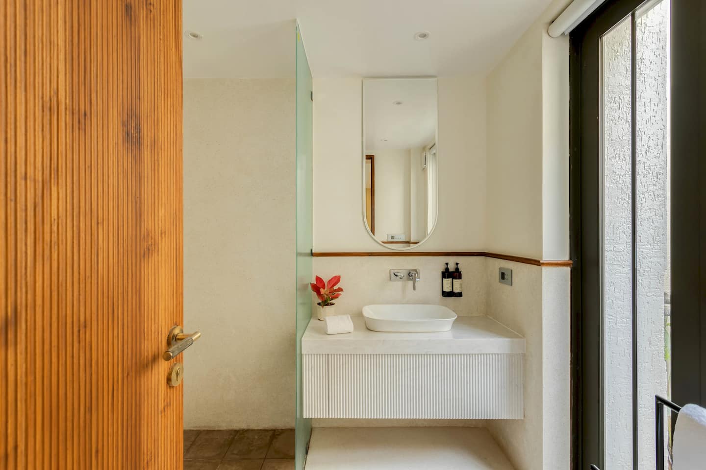 Alocassia 2, photo 24
