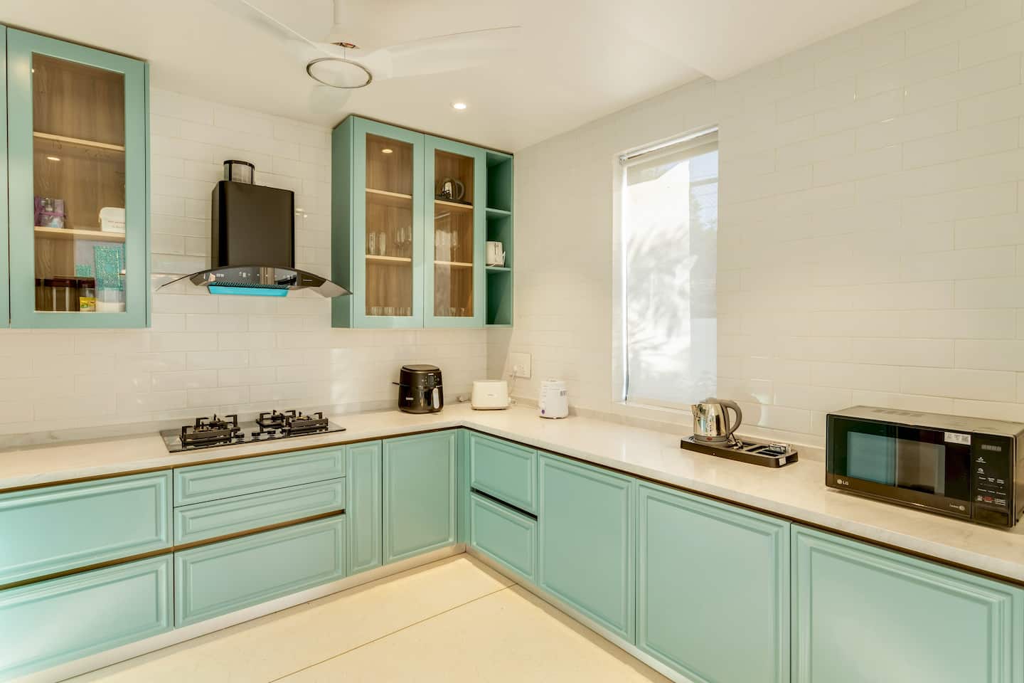 Alocassia 3, photo 12