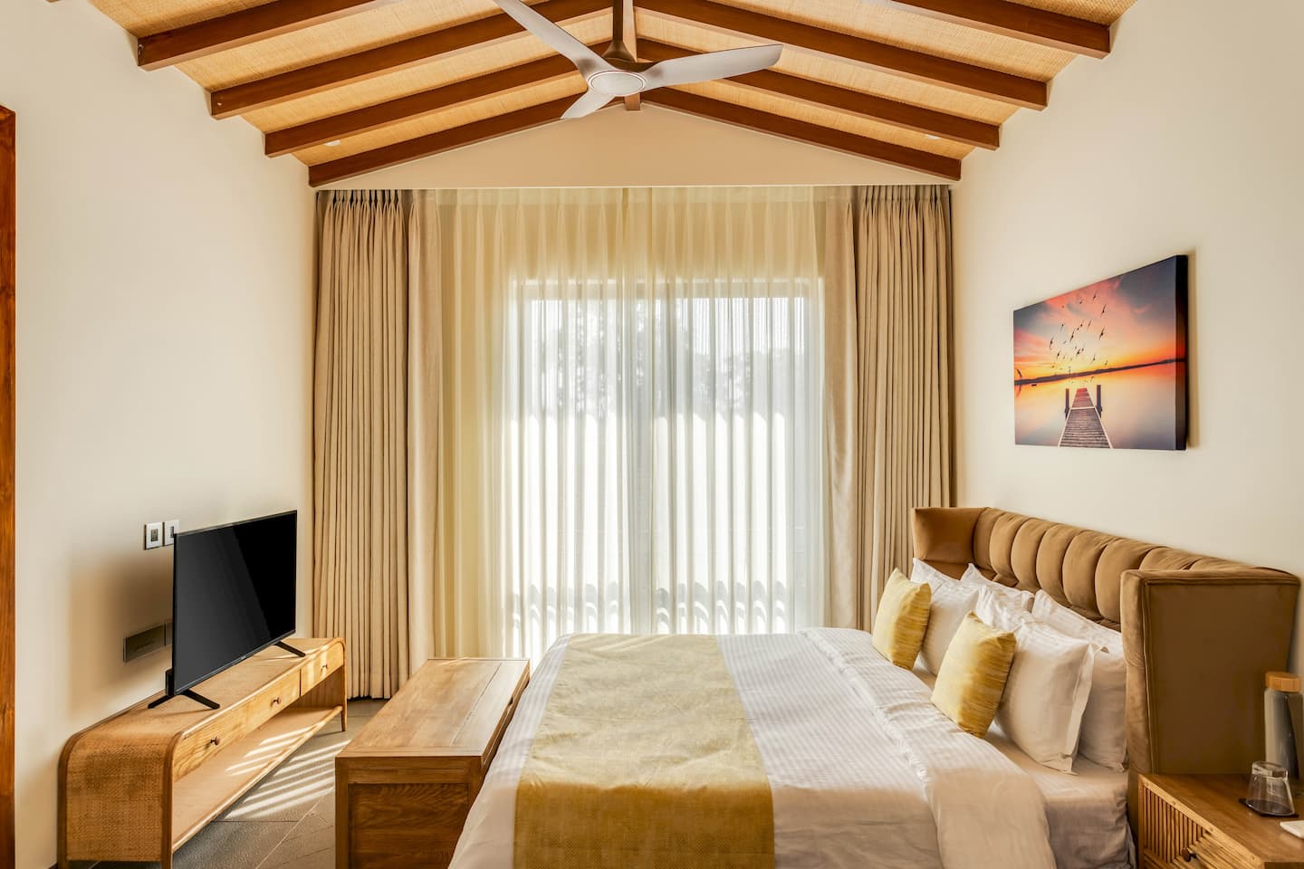 Alocassia 3, photo 16
