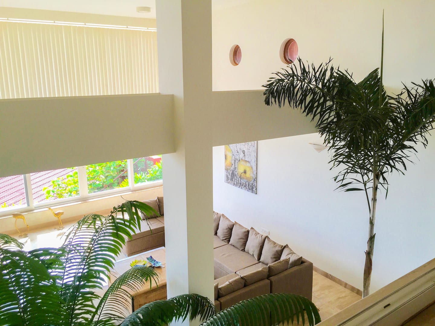 Dolphin Heights, photo 37