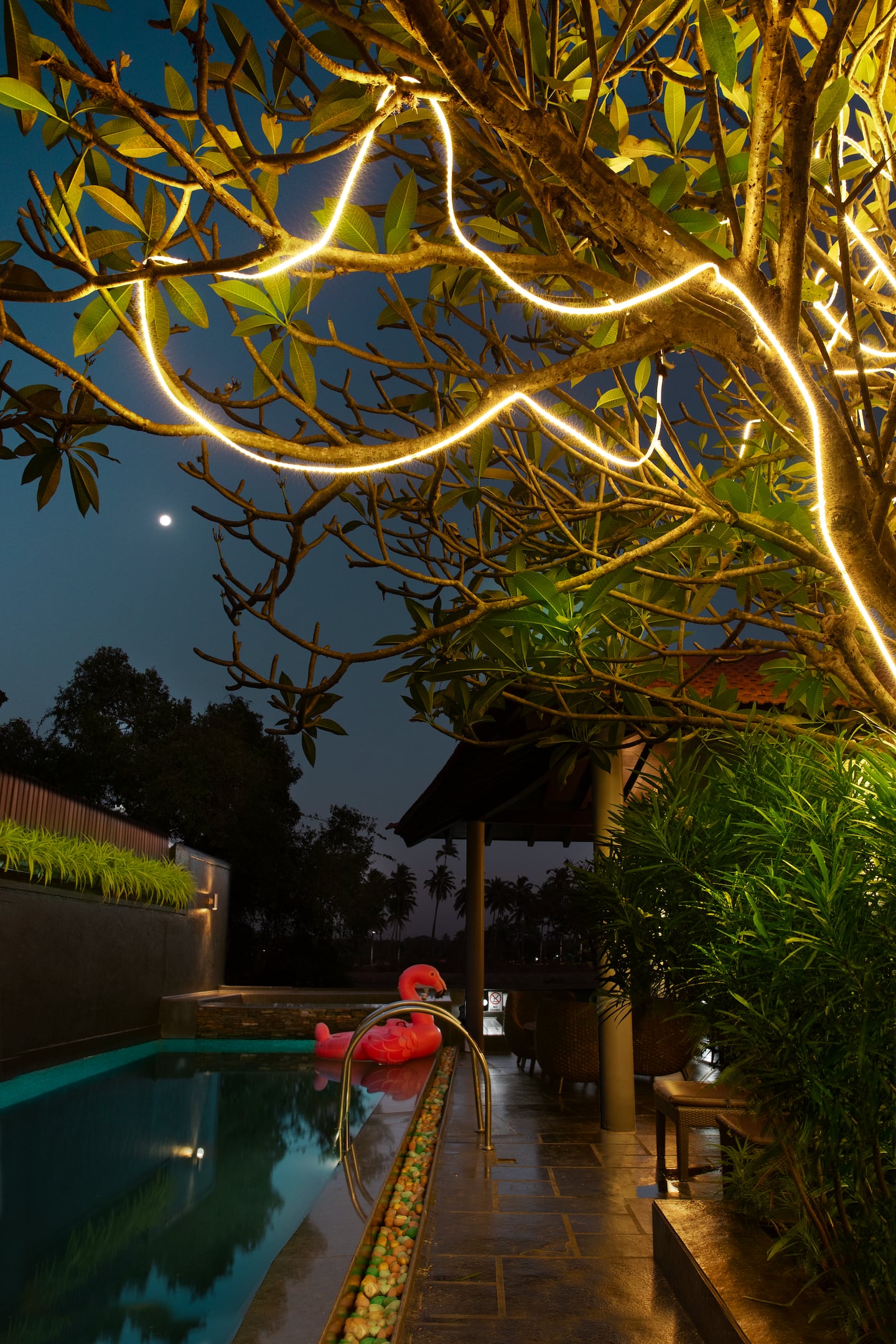 Tropical Breeze, photo 20