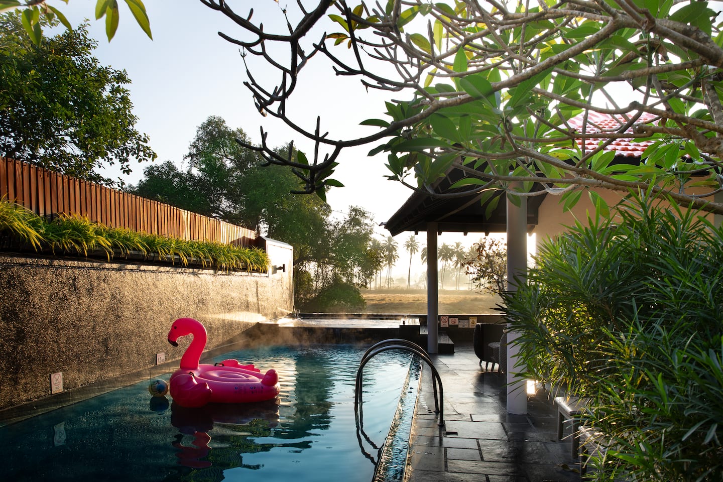Tropical Breeze, photo 25