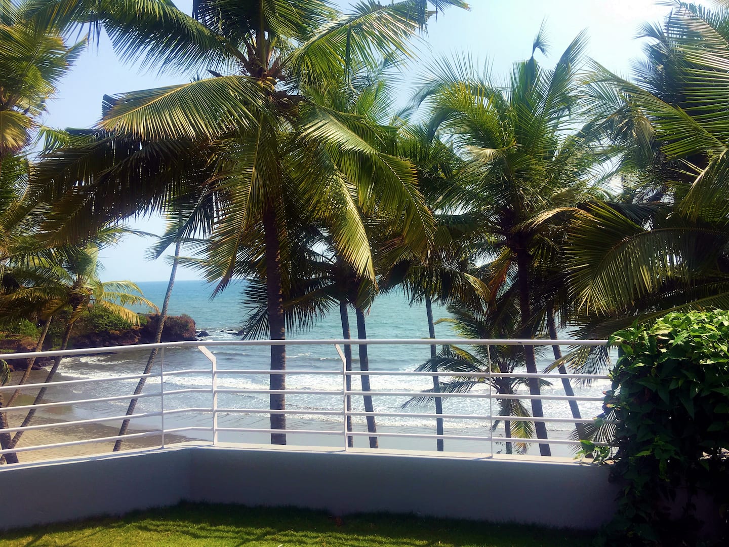 Tropical Vibes, photo 6