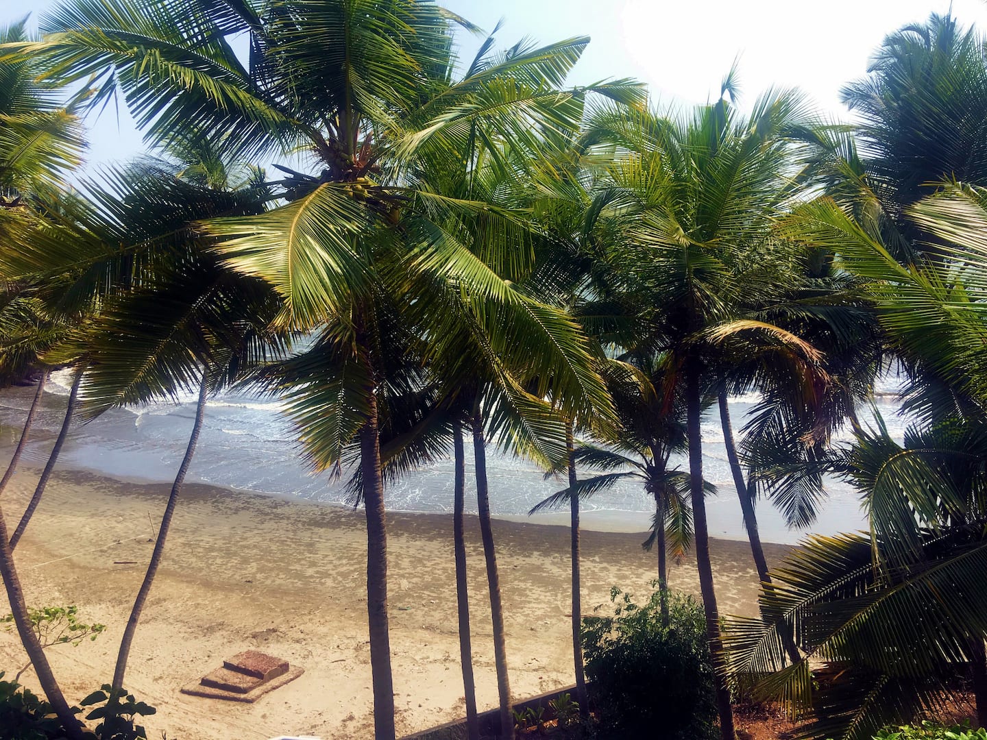 Tropical Vibes, photo 7