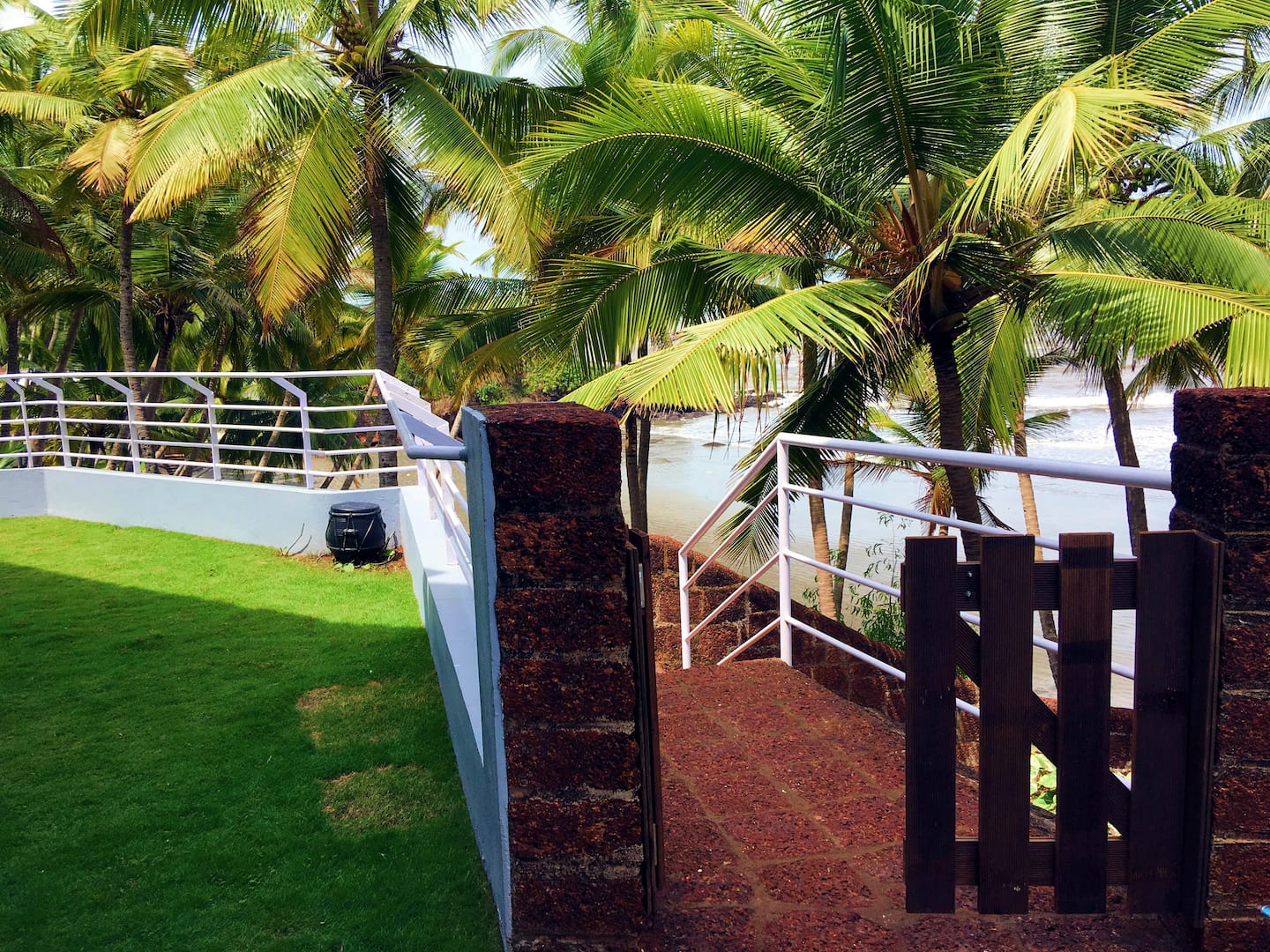 Tropical Vibes, photo 8