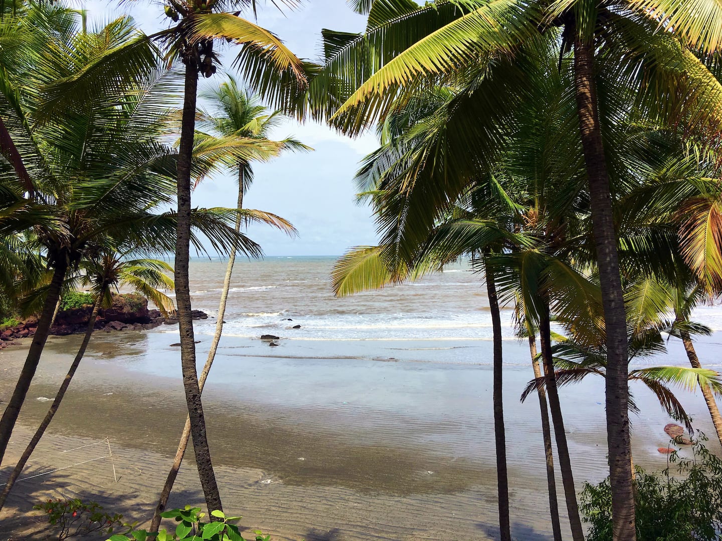 Tropical Vibes, photo 9