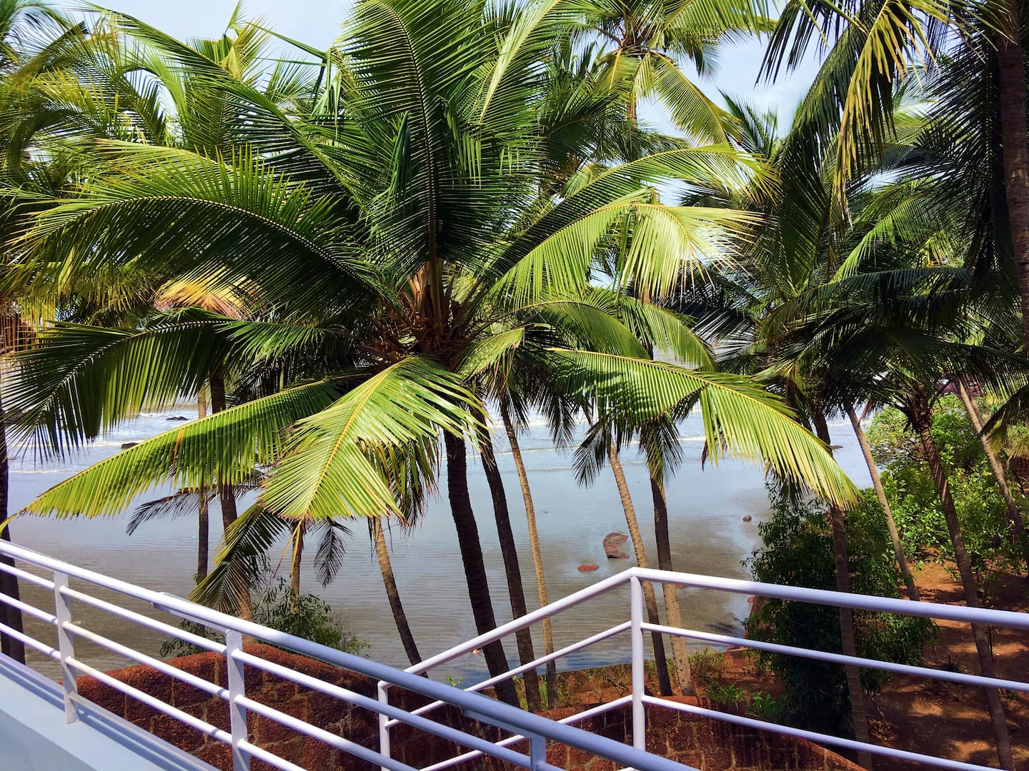 Tropical Vibes, photo 10