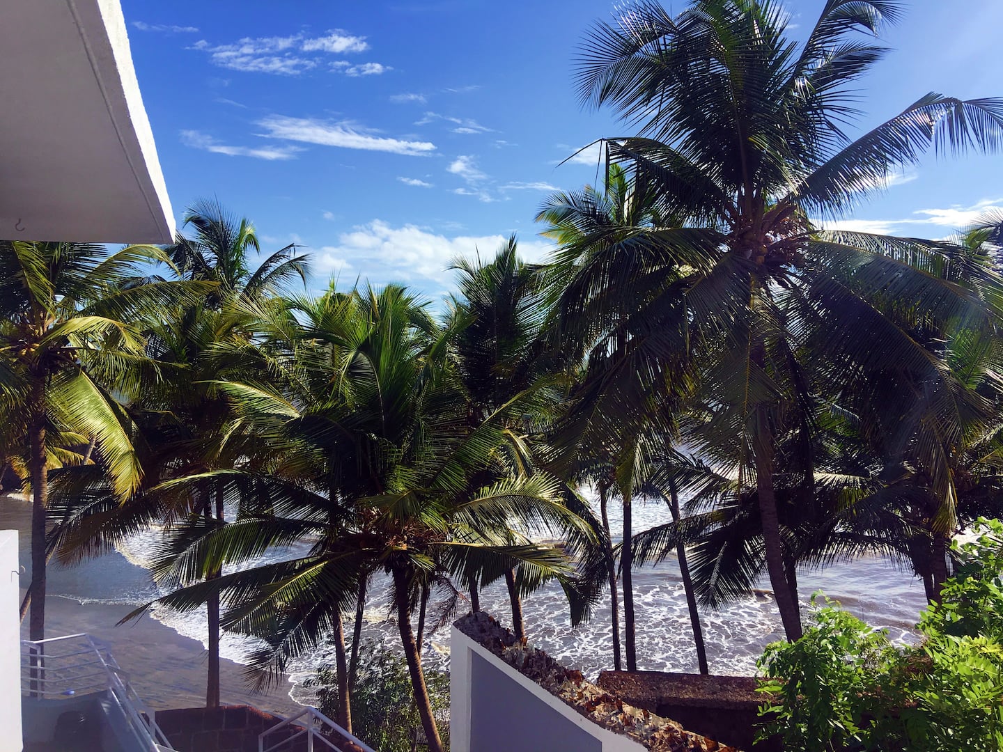 Tropical Vibes, photo 12