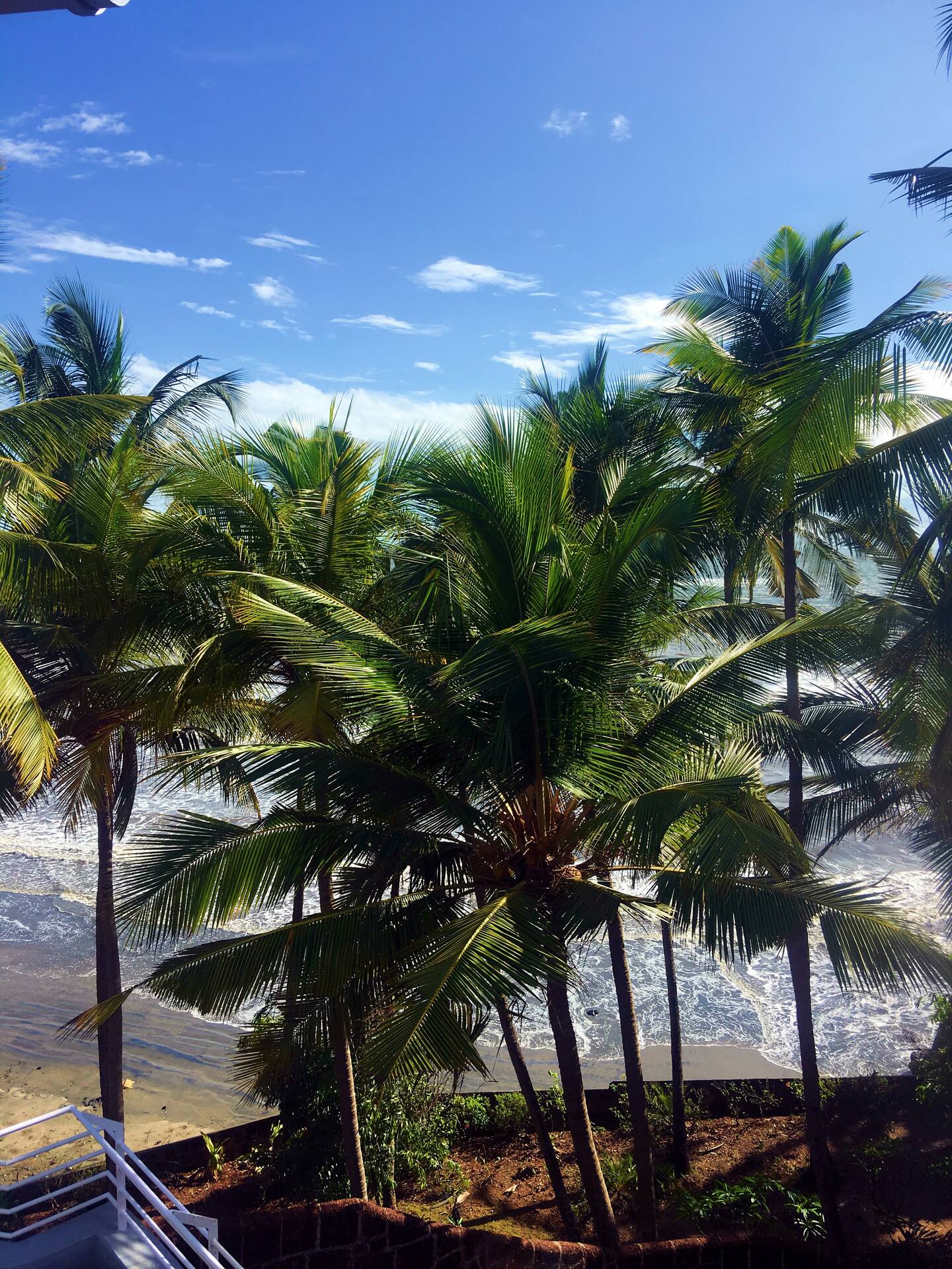 Tropical Vibes, photo 13