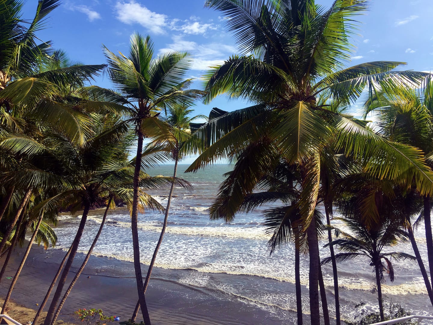 Tropical Vibes, photo 14