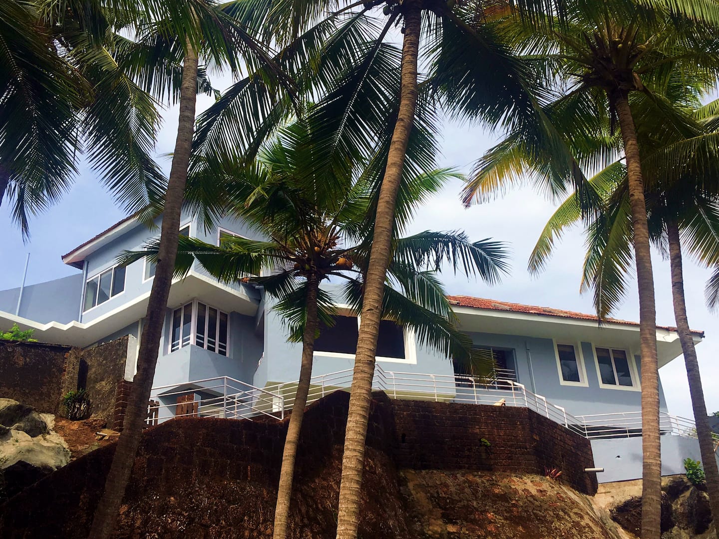 Tropical Vibes, photo 15