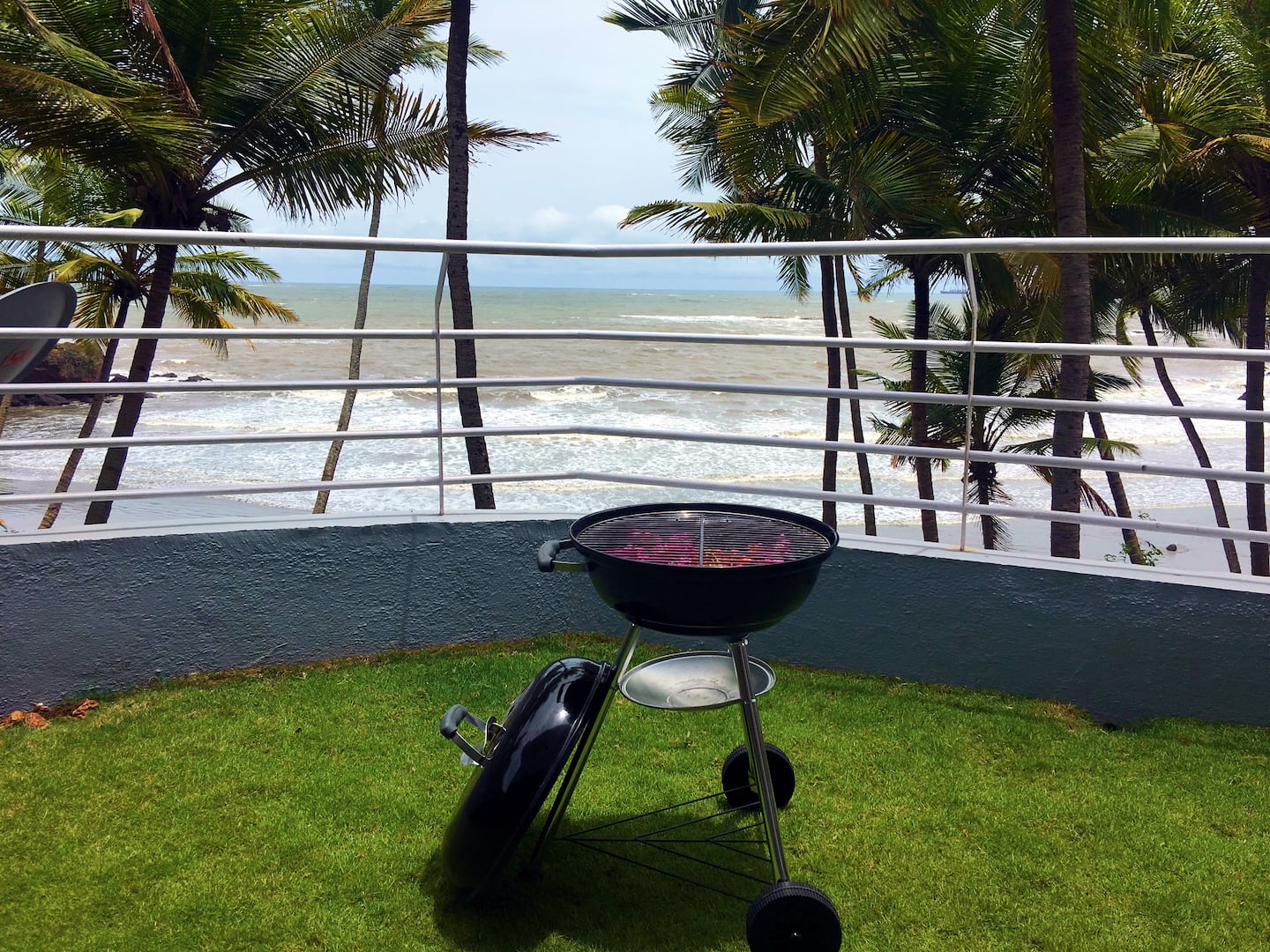 Tropical Vibes, photo 26