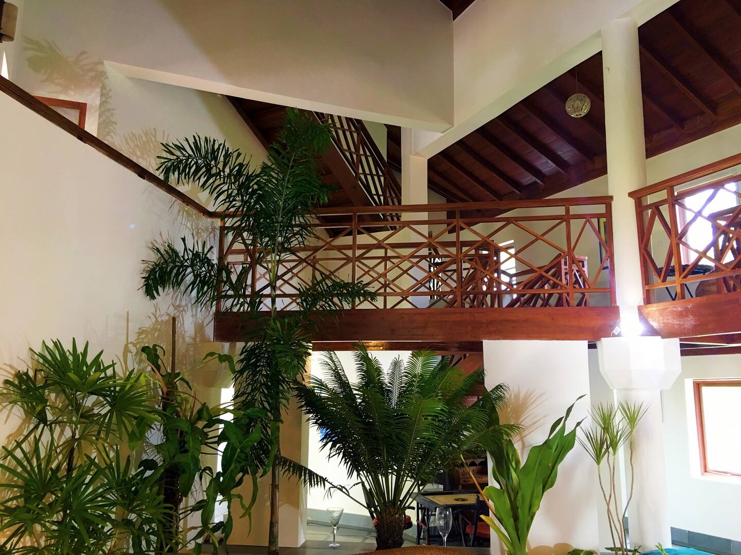 Tropical Vibes, photo 33