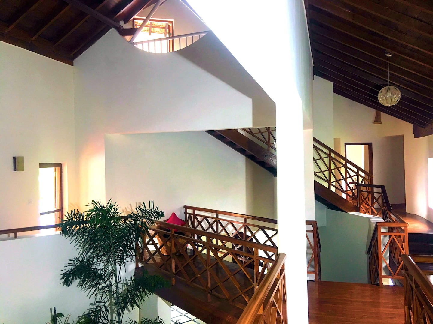 Tropical Vibes, photo 43