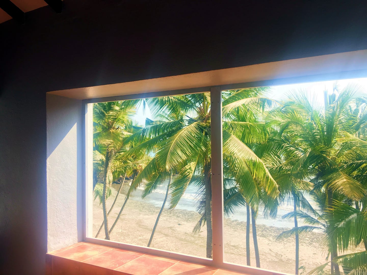 Tropical Vibes, photo 47