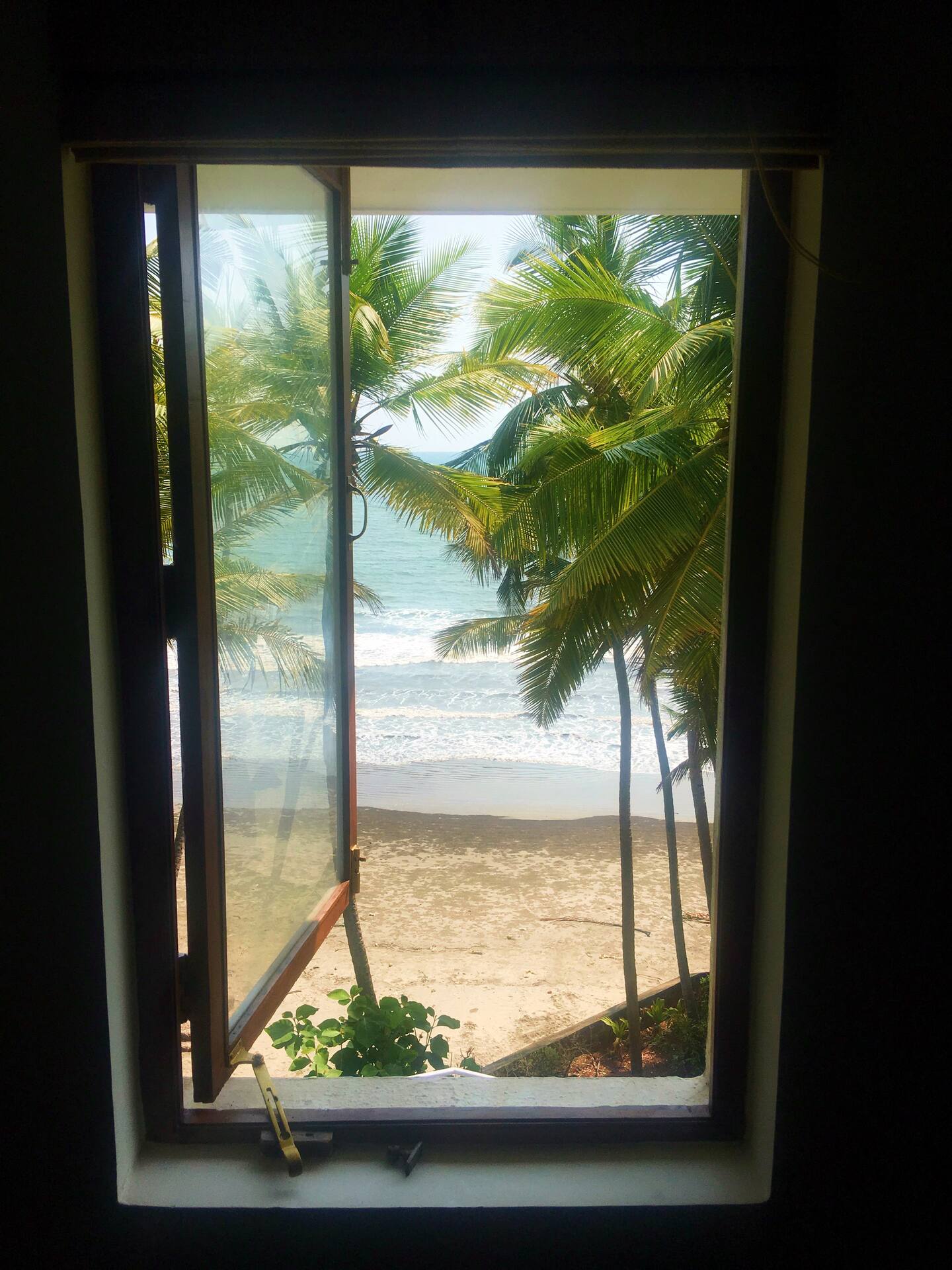 Tropical Vibes, photo 64