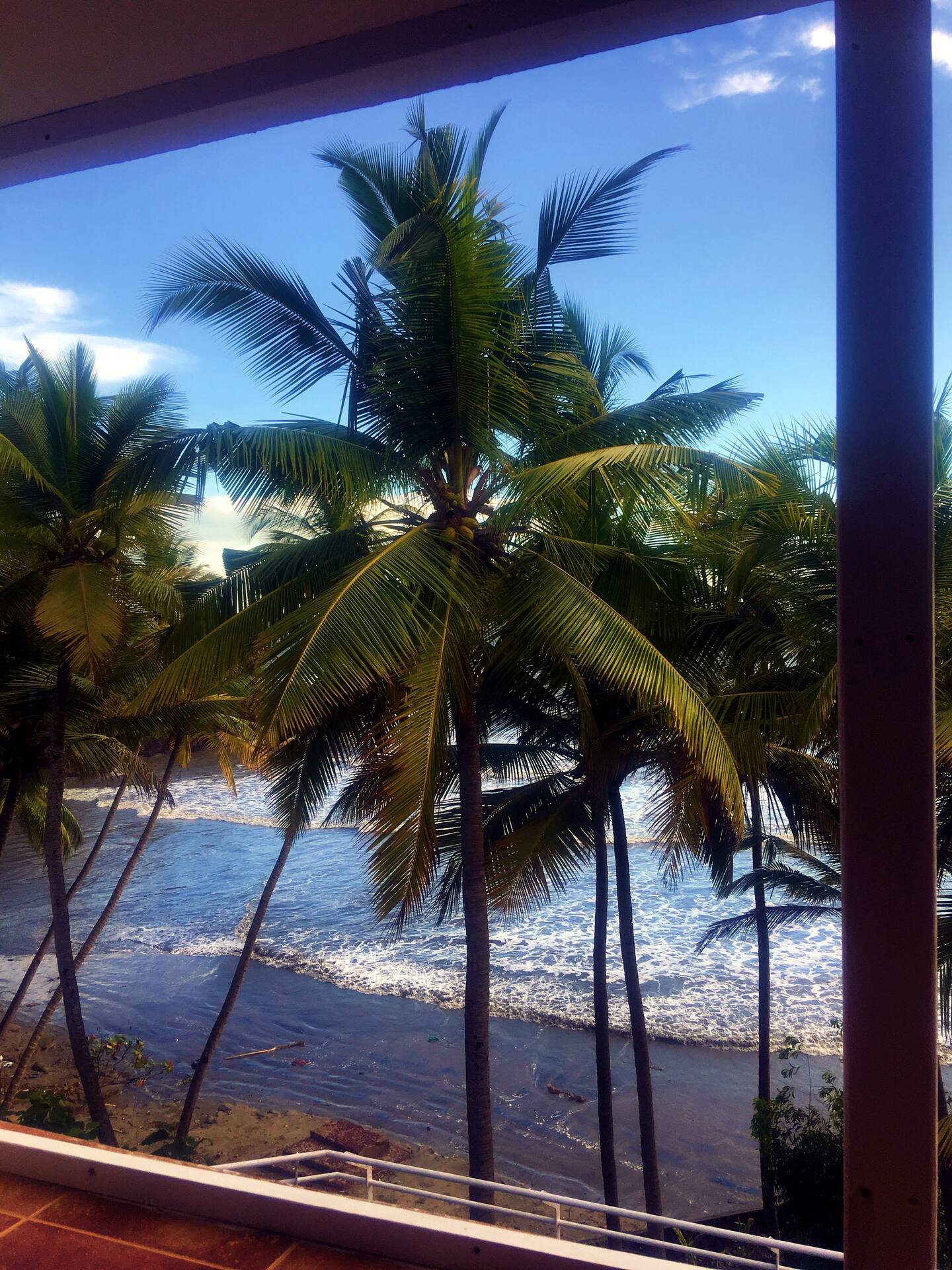 Tropical Vibes, photo 73
