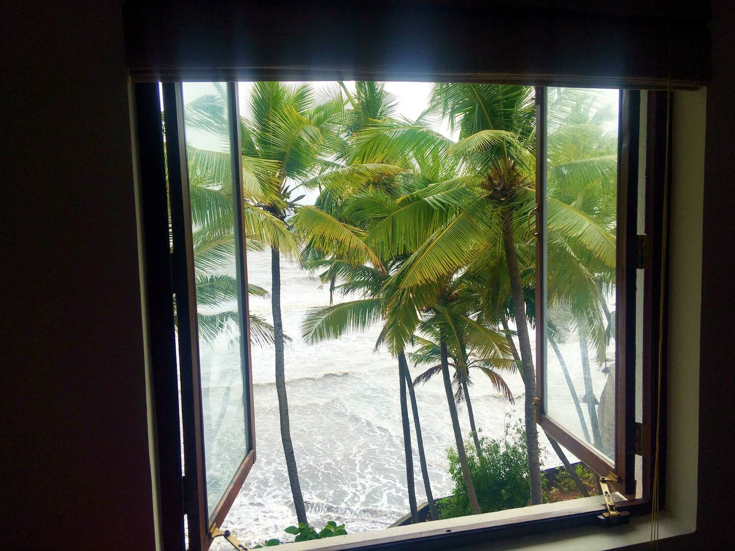 Tropical Vibes, photo 74